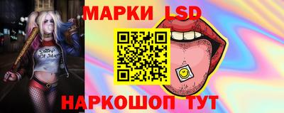 твердый Будённовск
