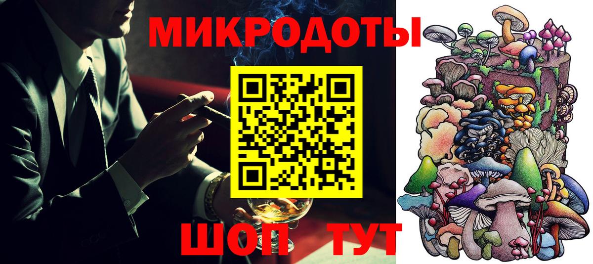 Галлюциногенные грибы Psilocybe Лабытнанги