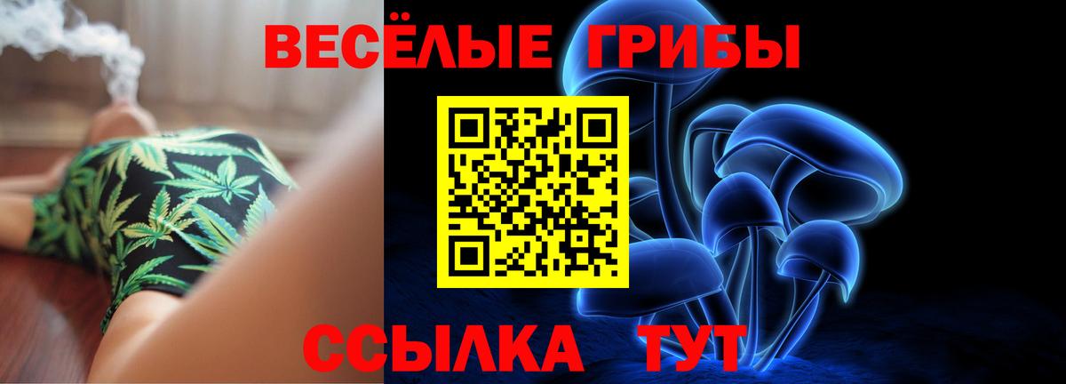 дарнет шоп  Псилоцибиновые грибы MAGIC MUSHROOMS  Псилоцибиновые грибы Psilocybe  Вход с VPN  Лабытнанги 